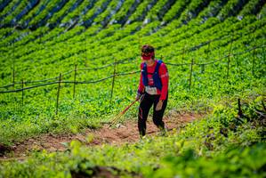 BIB: 099
                            <button type="button" onclick="openModal(19163051)" class="btn btn-primary btn-sm float-right btn-popup" data-toggle="modal" data-target=".modal-high-quality">
                        <i class="fas fa-shopping-cart"></i> Add to Cart
                    </button>
                                            <button type="button" onclick="isThisMe(19163051, true)" class="btn btn-success btn-sm float-right btn-popup btn-isme hidden" data-toggle="tooltip" data-placement="bottom" title="นี่คือรูปของคุณใช่ไหม คลิกที่นี่เพื่อเอาเข้าอัลบั้ม">
                        <i class="fas fa-plus"></i> Add to album
                    </button>
                    <button type="button" onclick="isThisMe(19163051, false)" class="btn btn-warning btn-sm float-right btn-popup btn-isnotme hidden">
                        <i class="fas fa-ban"></i> Remove from album
                    </button>